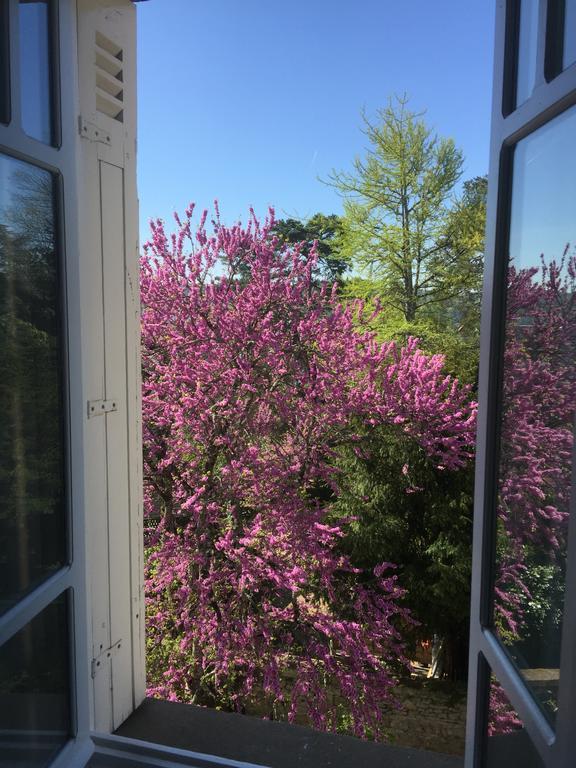 Chambres D'Hotes Couleurs Du Temps Périgueux Zewnętrze zdjęcie